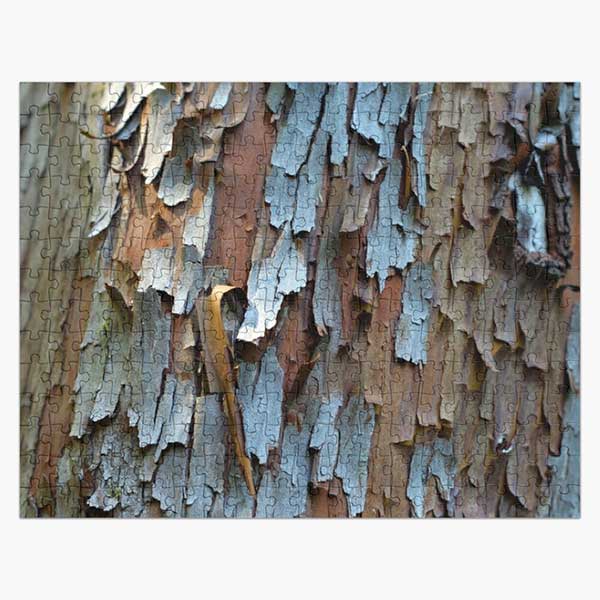 Peeling Renewal Arbutus Bark Abstract Puzzle